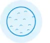 Icon - Allergic Contact Dermatitis -2