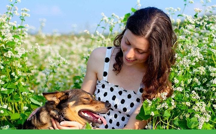 young woman petting her dog in a field of flowers