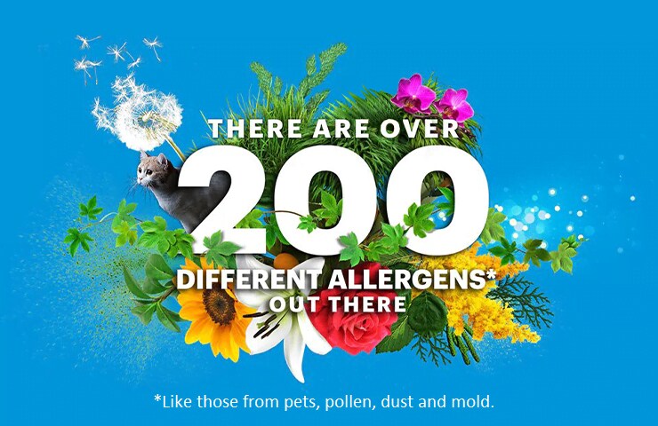 a flower bouqet with, "there are over 200 different allergens out there," superimposed on top